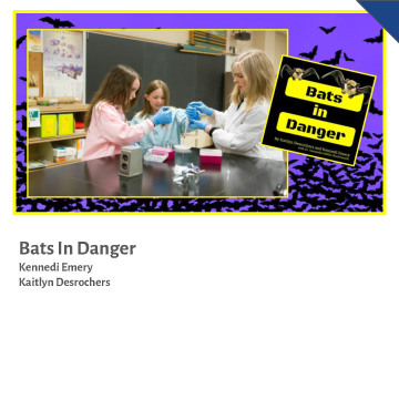 Bats in Danger
