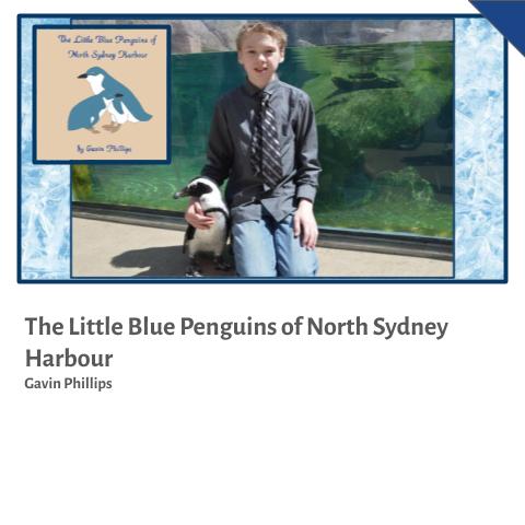 The Little Blue Penguin of North Sydney Harbour