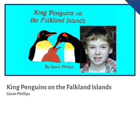 King Penguins on the Falkland Islands