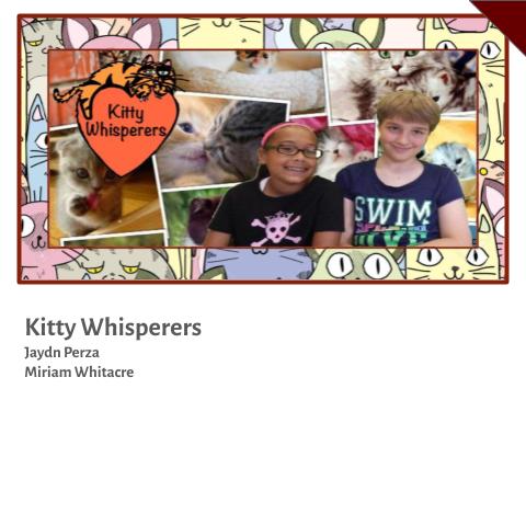 Kitty Whisperers