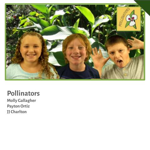Pollinators