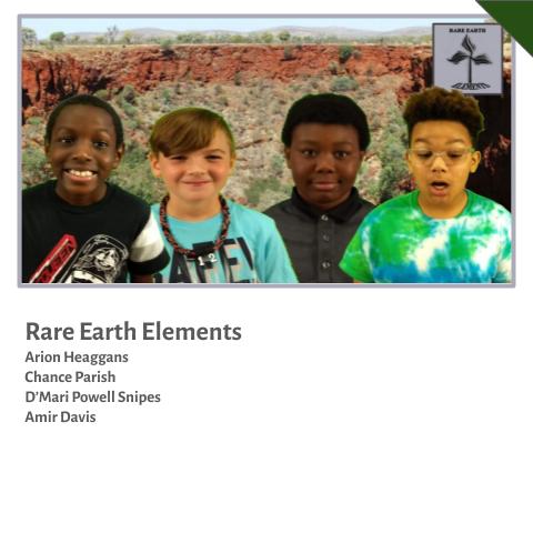 Rare Earth Elements