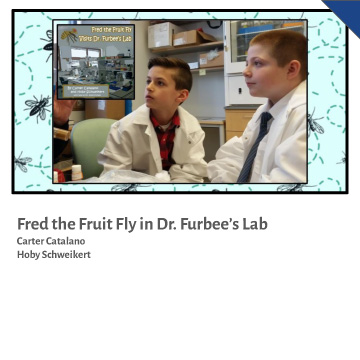 Fred the Fruit Fly Visits Dr. Furbee’s Lab